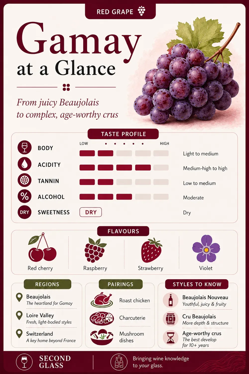 Taste profile guide to Gamay showing light-to-medium body, medium-high to high acidity, low-to-medium tannins, moderate alcohol and a dry style, alongside key flavours, regions, food pairings and Beaujolais styles.