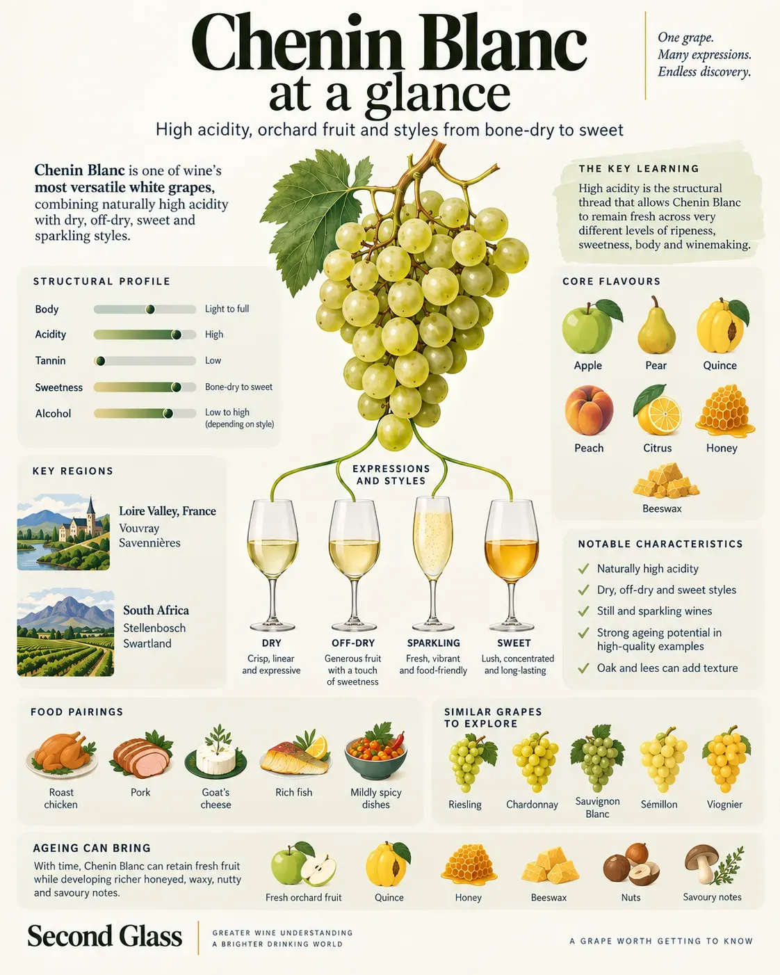 Chenin Blanc grape profile infographic showing its high acidity and styles from bone-dry to sweet, with apple, pear, quince, peach, citrus, honey and beeswax flavours. It highlights key regions in France’s Loire Valley and South Africa, food pairings, similar white grapes, and richer honeyed, waxy, nutty and savoury notes that ageing can bring.