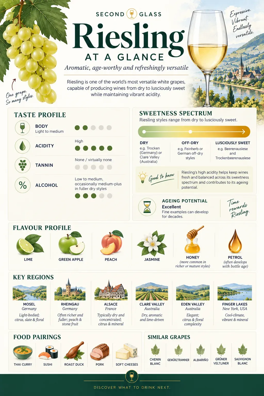 Infographic titled “Riesling at a Glance” showing Riesling’s light-to-medium body, high acidity, virtually no tannin, low-to-medium alcohol, dry-to-sweet styles and excellent ageing potential. Flavours include lime, green apple, peach and jasmine, with honey in richer or mature styles and petrol developing with bottle age. Key regions and food pairings are also shown.