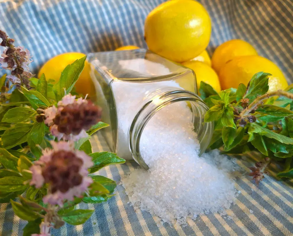 Salt and lemons with herbs