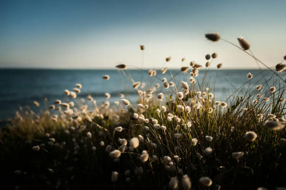 Seaside of the atlantic