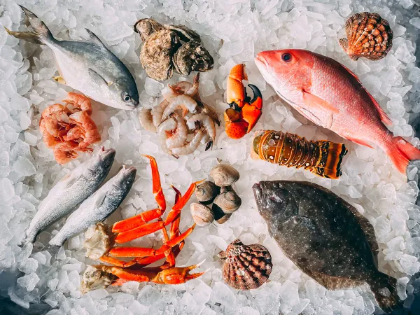 Fresh, South Atlantic seafood. Mike Bergmann - Unsplash