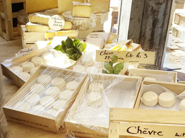 Goat cheese boxes