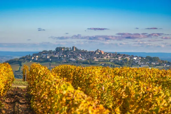 Village of Sancerre, front showcases vines